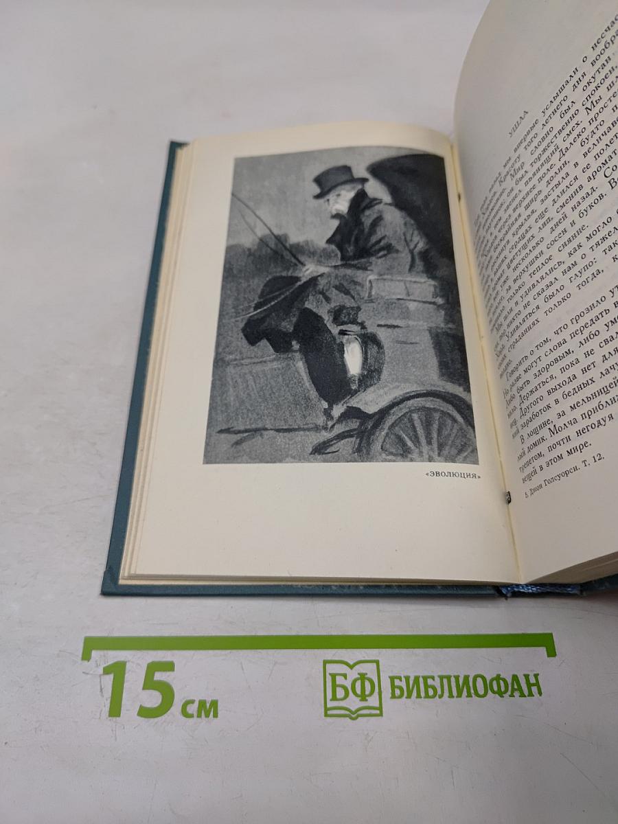 Собрание сочинений в шестнадцати томах. Том 12