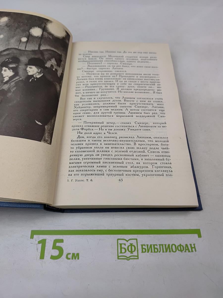 Собрание сочинений в пятнадцати томах. Том 6. Любовь и мистер Люишем