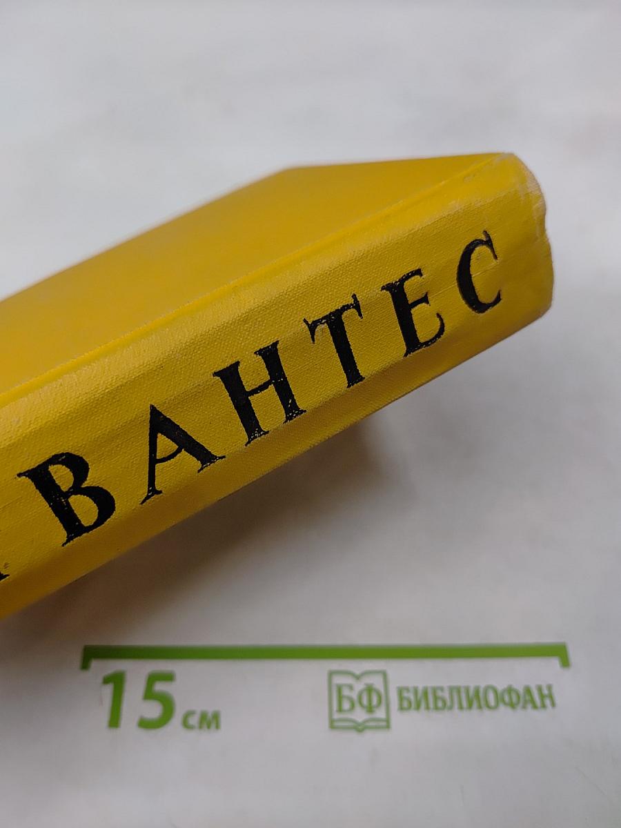 Дон Кихот Ламанчский. Собрание сочинений в пяти томах. Том первый