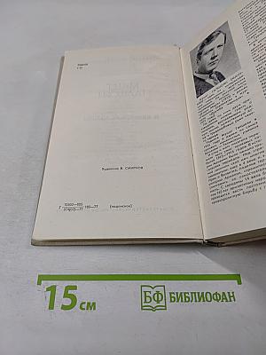 В каменной долине