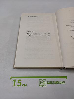 В каменной долине