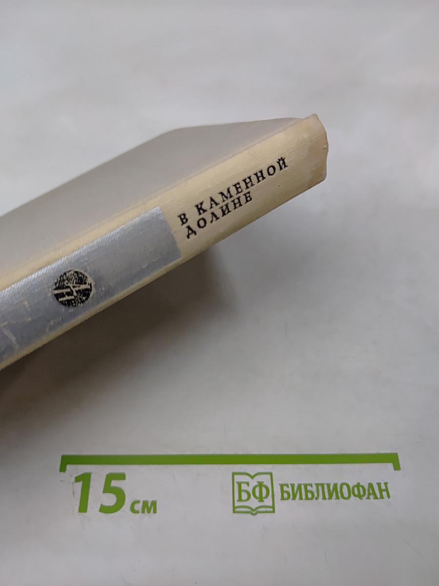 В каменной долине