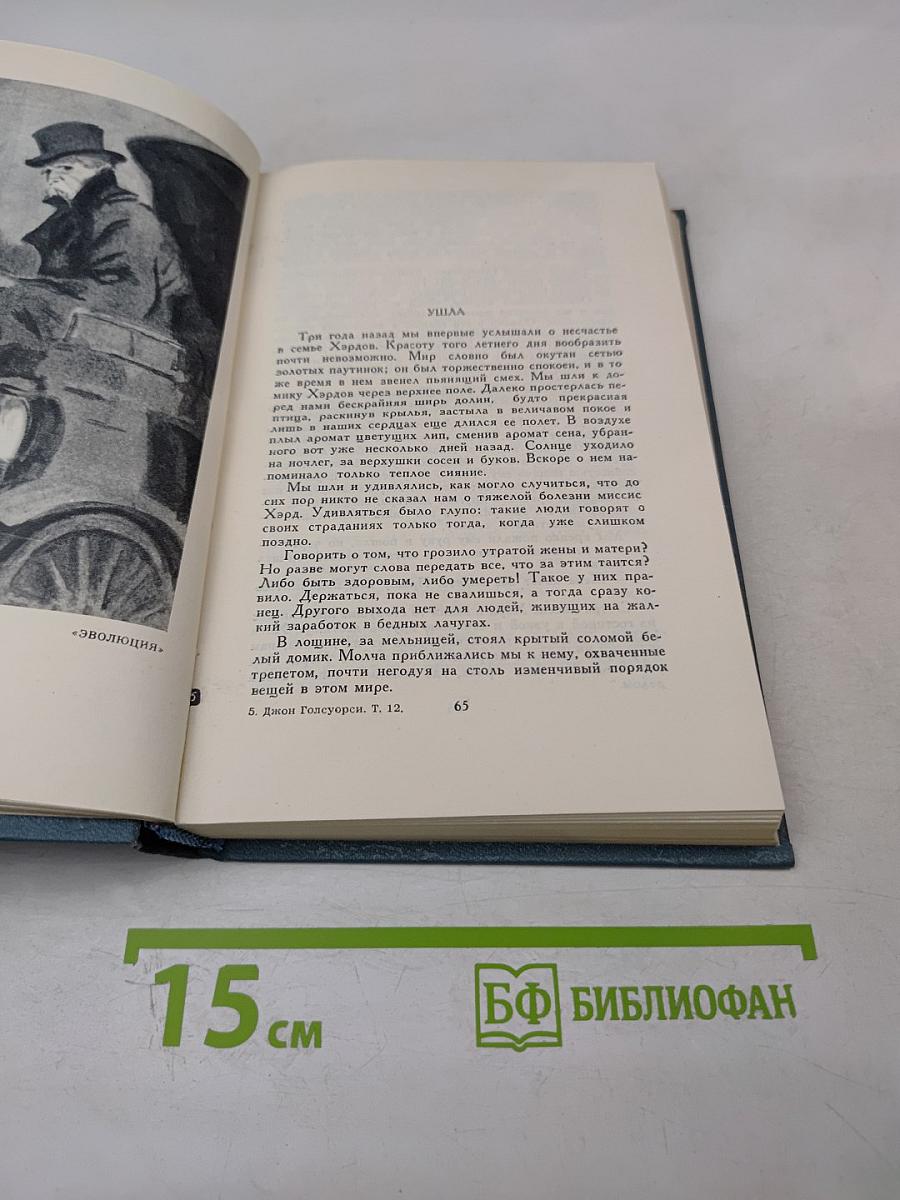 Собрание сочинений в шестнадцати томах. Том 12