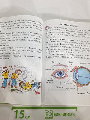 Физическая культура 1-4 классы