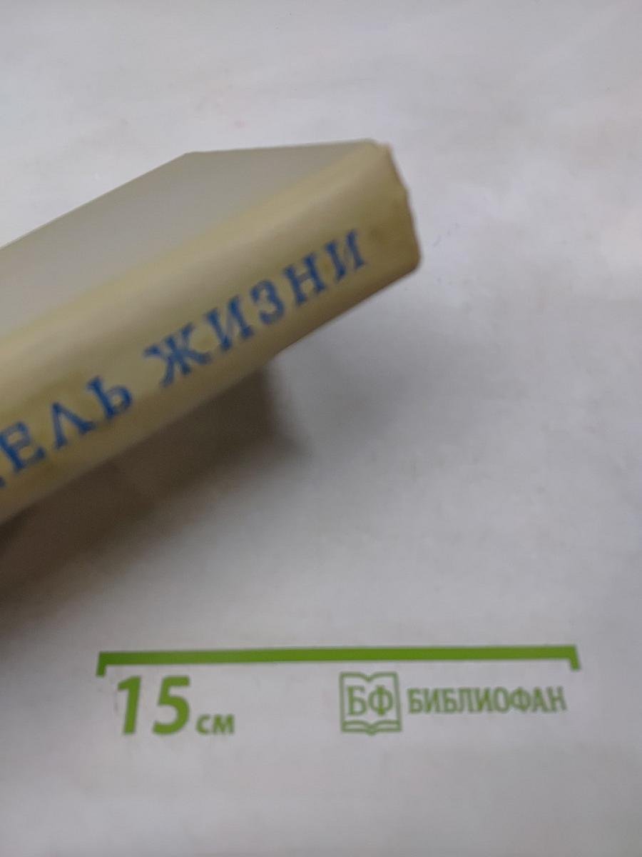 Цель жизни (Записки авиаконструктора)