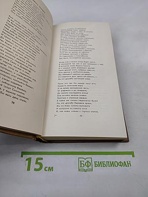 Михаил Дудин