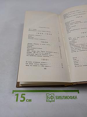 Михаил Дудин