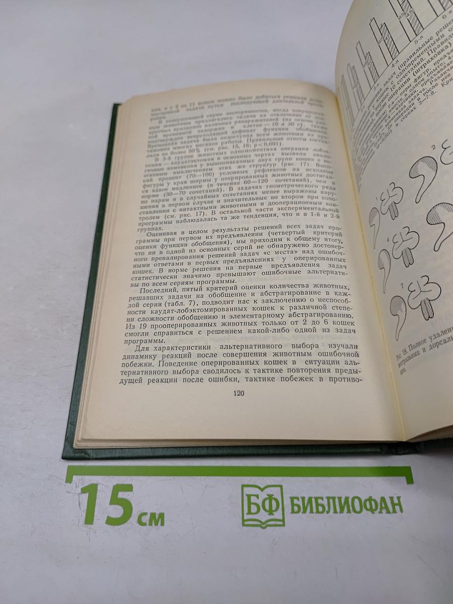 Структурные, функциональные и нейрохимические основы сложных форм поведения