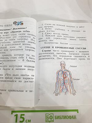 Физическая культура 1-4 классы