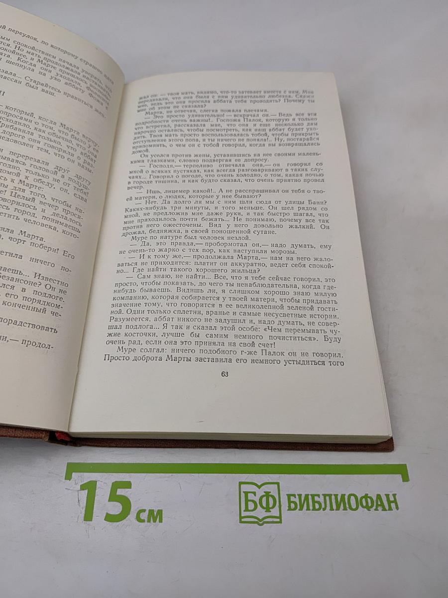 Завоевание Плассана. Том 3