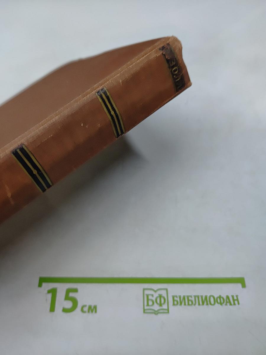 Мечта. Человек-зверь. Том 13