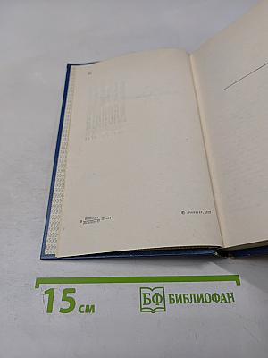 Вечные хлопоты. Книга вторая