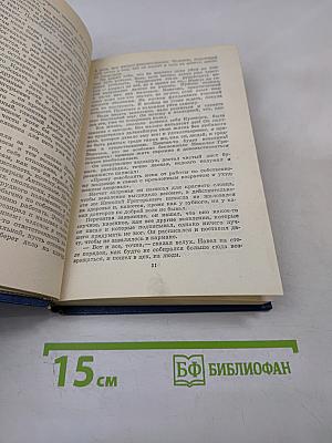 Вечные хлопоты. Книга вторая