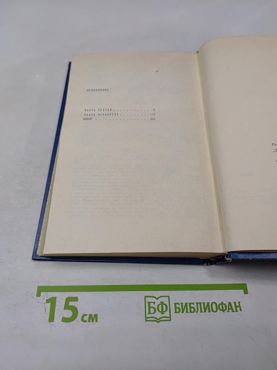 Вечные хлопоты. Книга вторая