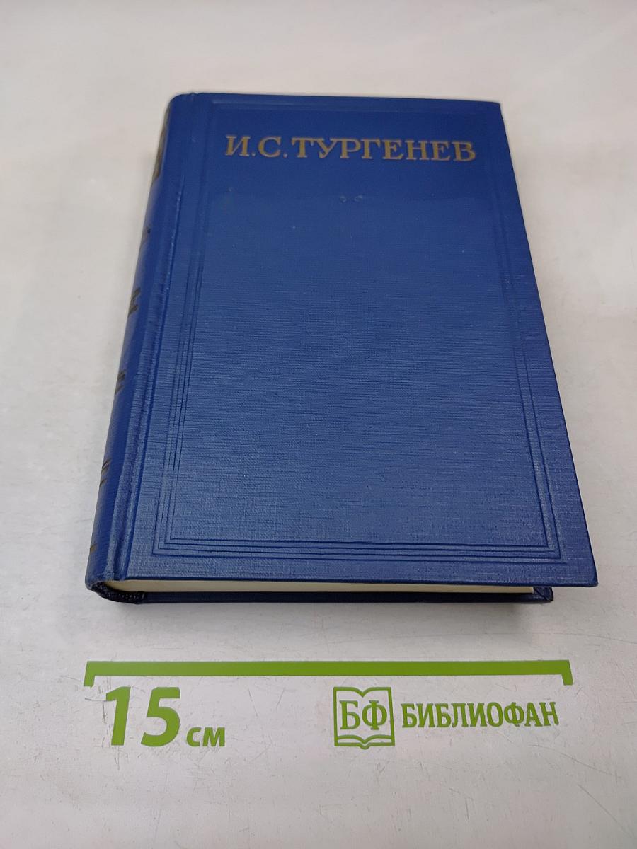 Сочинения. Том Шестой: Повести и рассказы «Рудин». Статьи и воспоминания 1855-1856