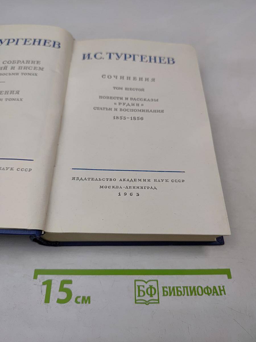 Сочинения. Том Шестой: Повести и рассказы «Рудин». Статьи и воспоминания 1855-1856
