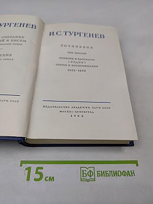 Сочинения. Том Шестой: Повести и рассказы «Рудин». Статьи и воспоминания 1855-1856