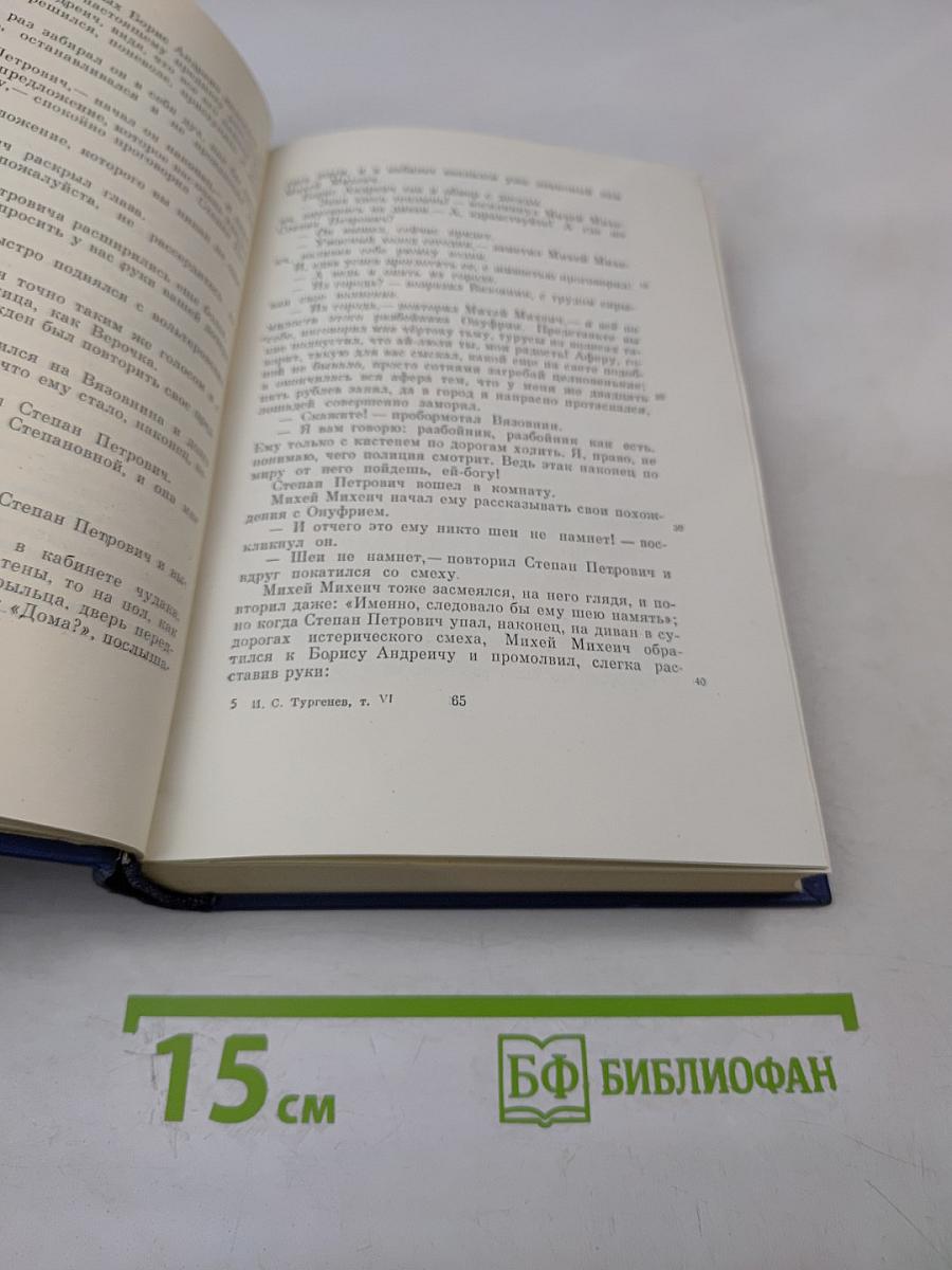 Сочинения. Том Шестой: Повести и рассказы «Рудин». Статьи и воспоминания 1855-1856