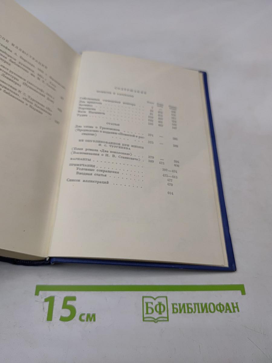 Сочинения. Том Шестой: Повести и рассказы «Рудин». Статьи и воспоминания 1855-1856