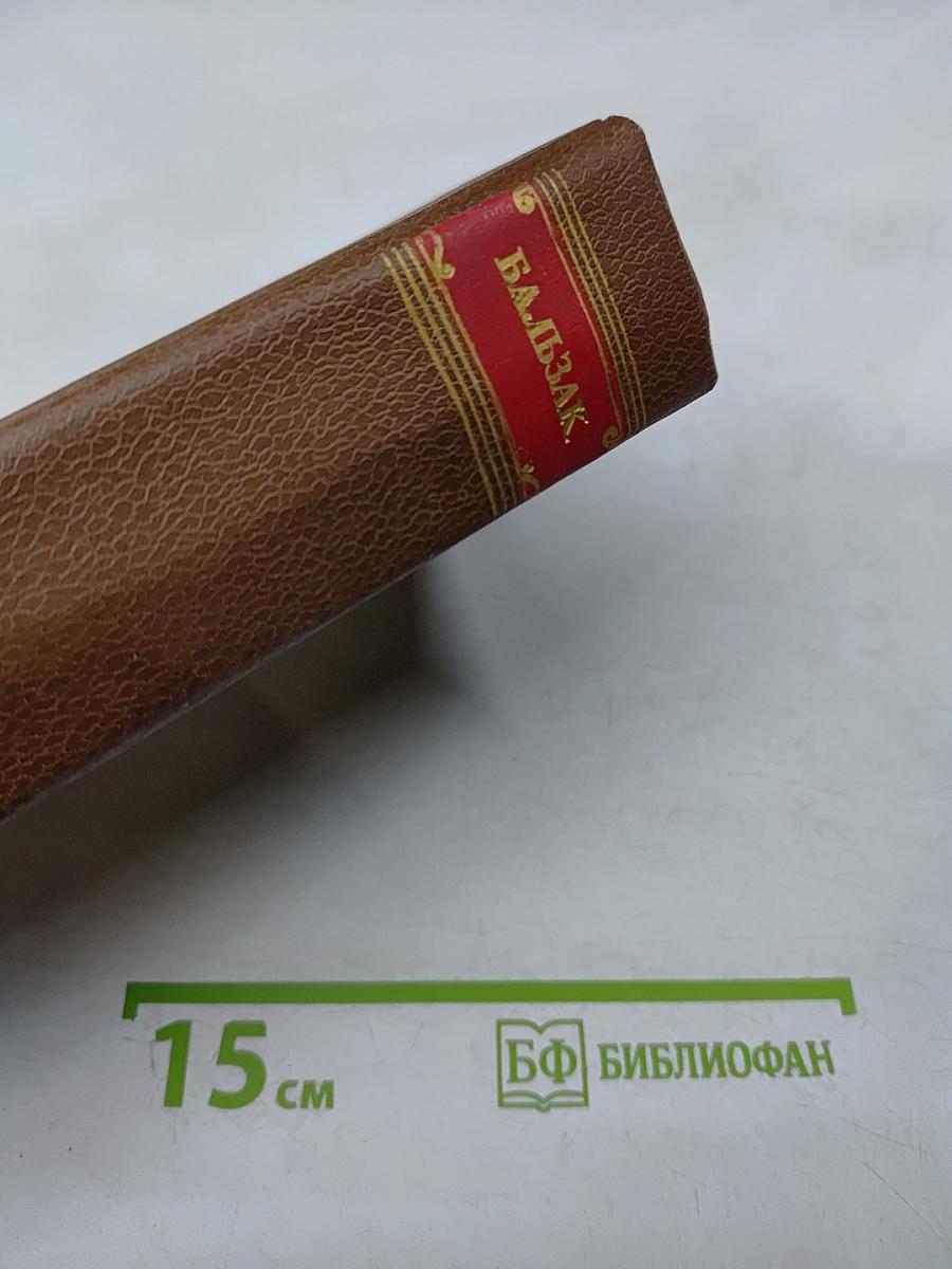 Человеческая комедия. Том 11