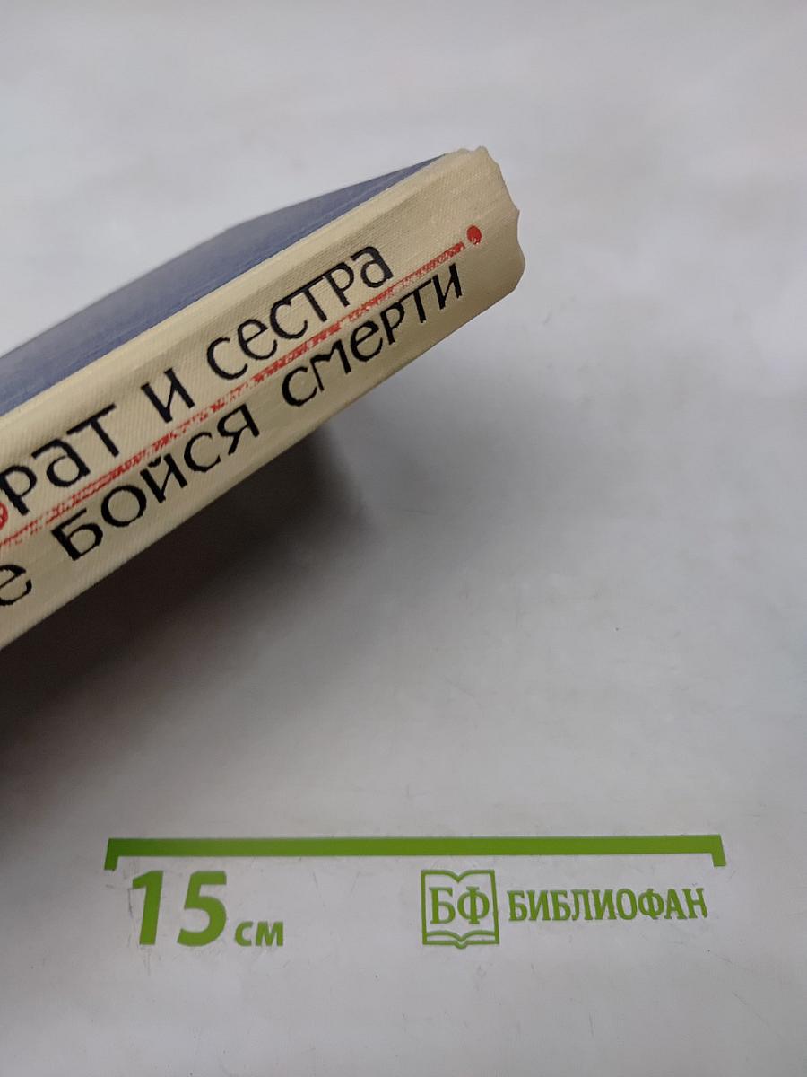 Брат и сестра. Не бойся смерти (Повести)