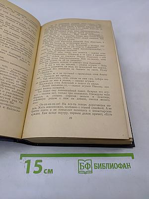 На горах. Книга вторая