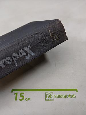 На горах. Книга вторая