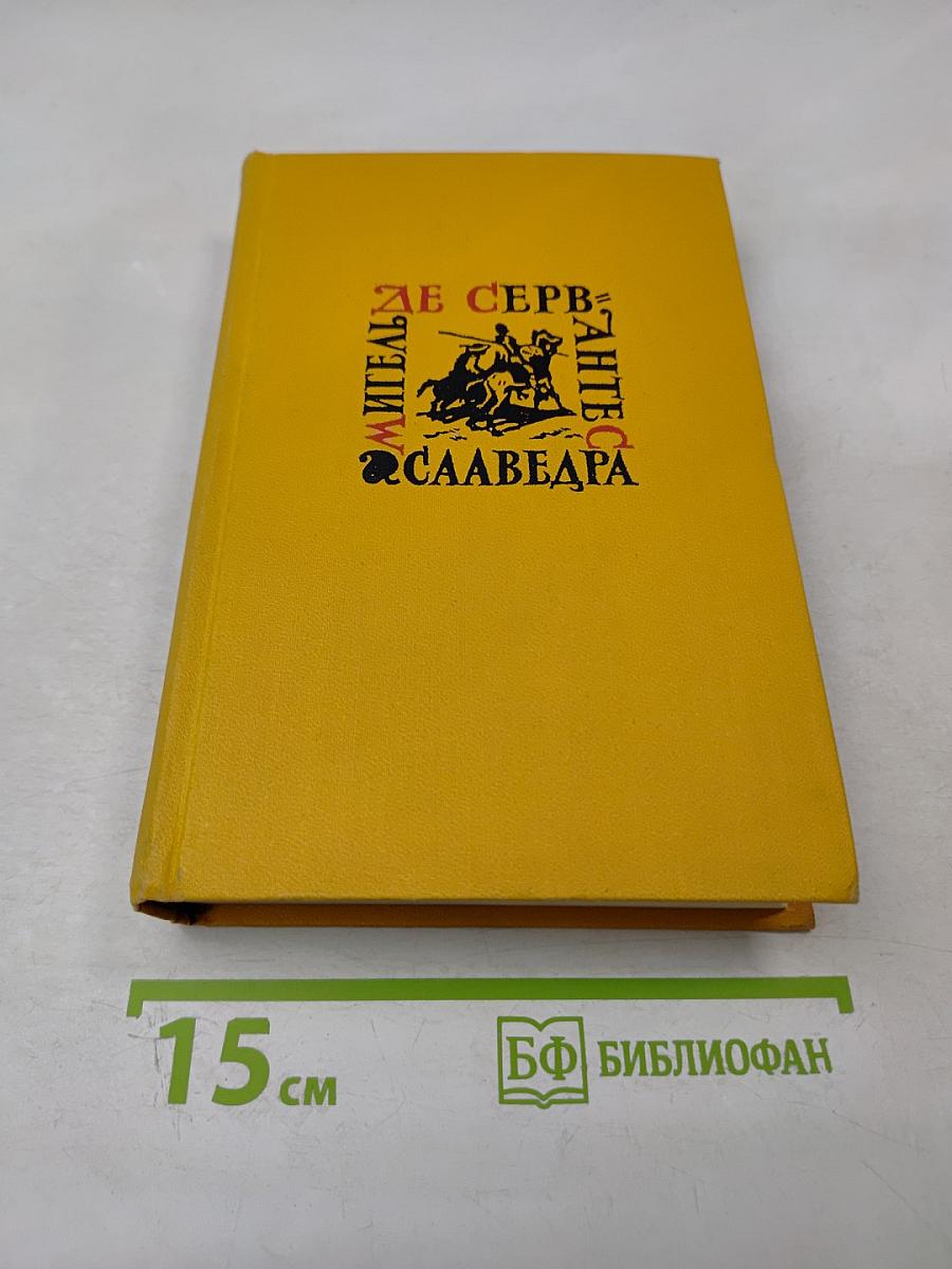 Дон Кихот Ламанчский. Том первый