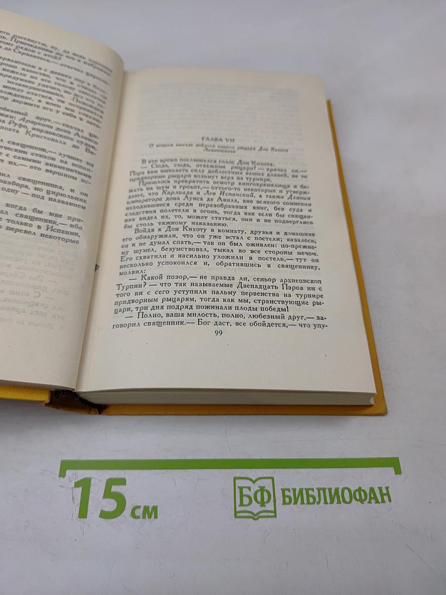 Дон Кихот Ламанчский. Том первый