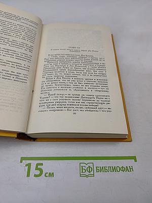 Дон Кихот Ламанчский. Том первый