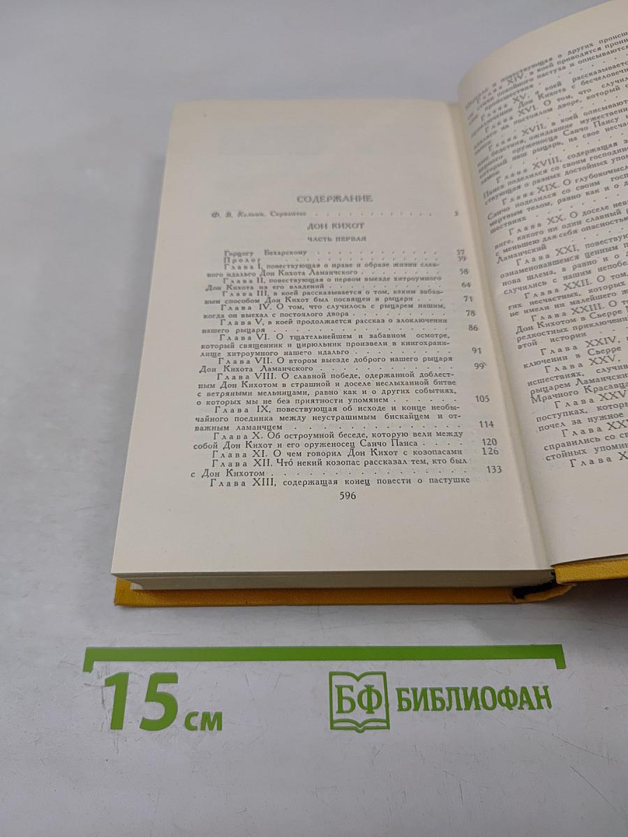 Дон Кихот Ламанчский. Том первый