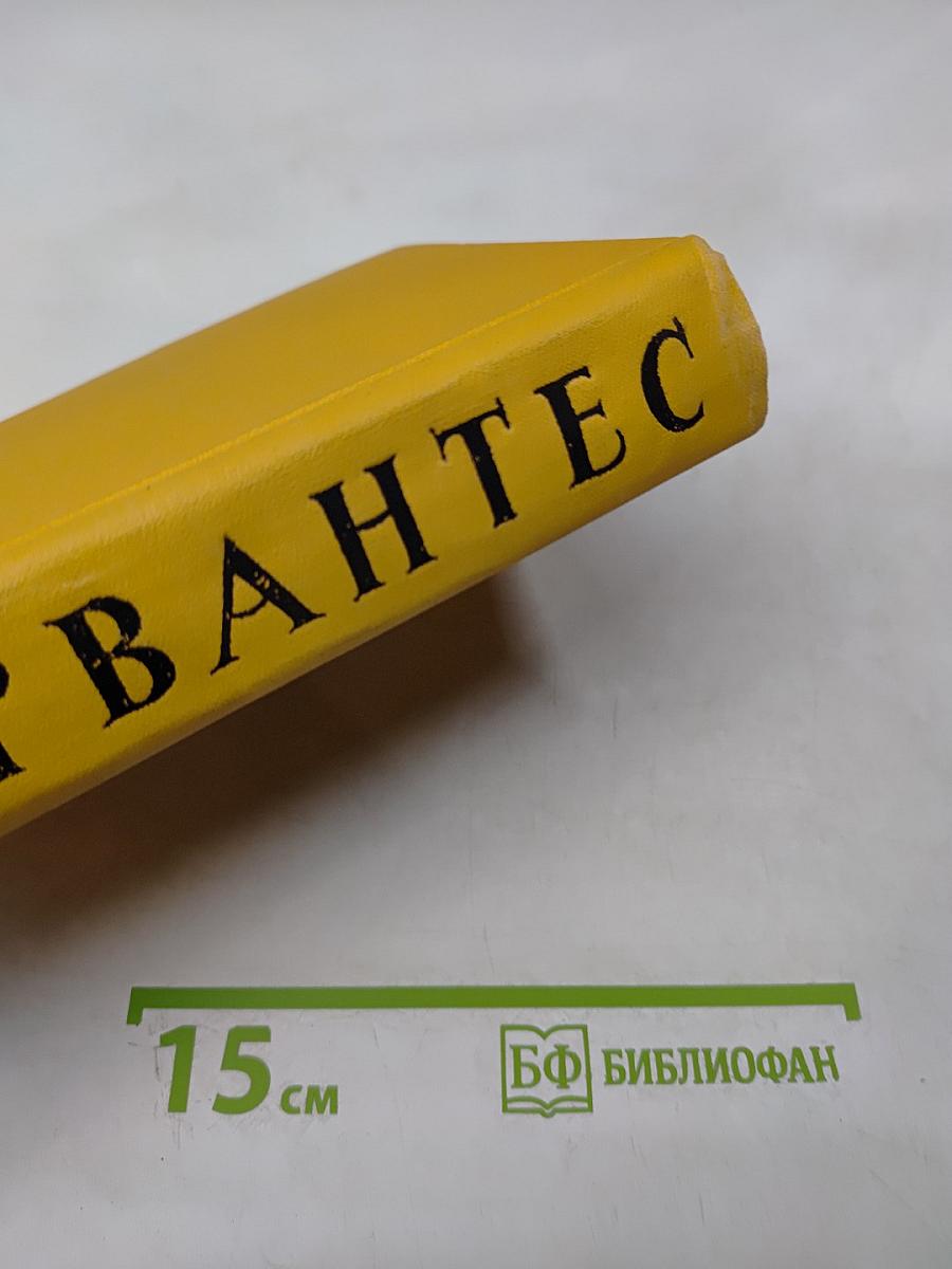 Дон Кихот Ламанчский. Том первый