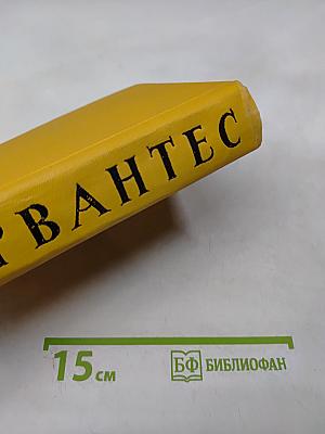 Дон Кихот Ламанчский. Том первый