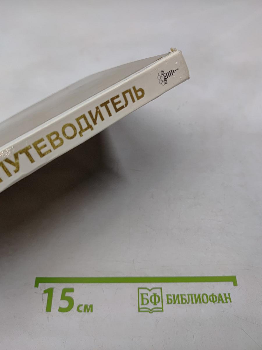 Эрмитаж по выставкам и залам. путеводитель