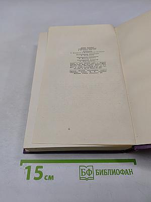 Маленькая хозяйка большого дома