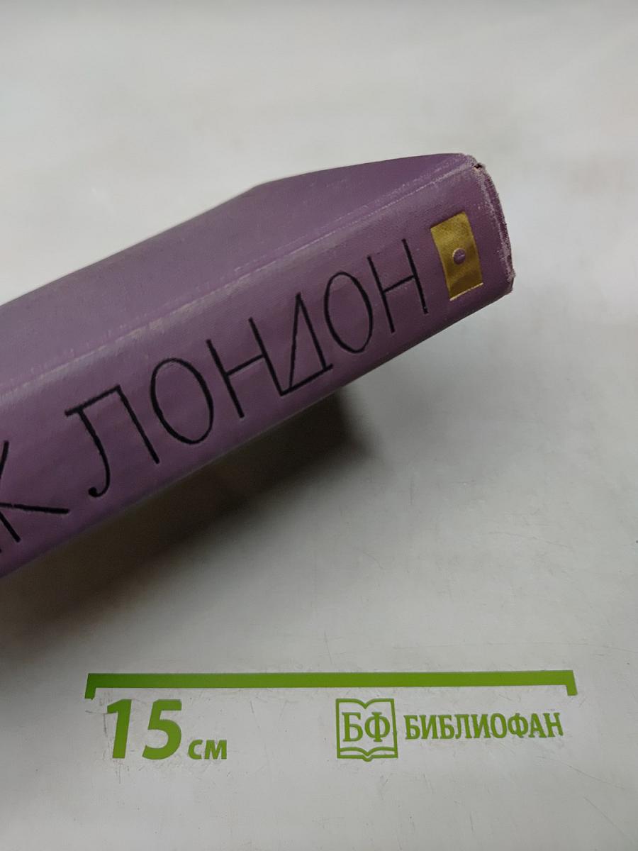 Маленькая хозяйка большого дома