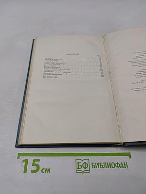 Тухачевский. Биографический очерк