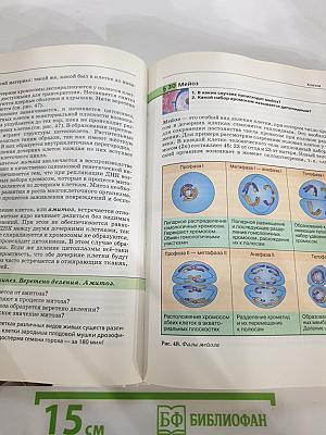Биология. Общая биология 10-11 классы. Базовый уровень