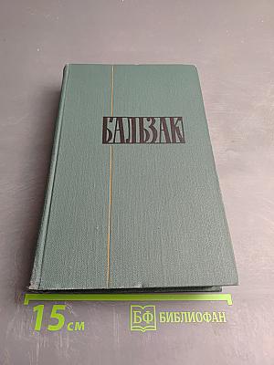 Человеческая комедия. Том 10