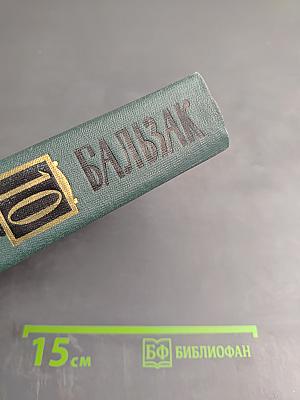 Человеческая комедия. Том 10