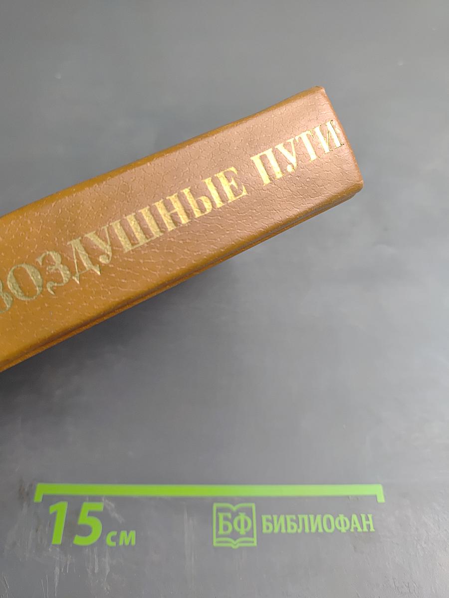 Воздушные пути