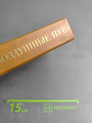 Воздушные пути