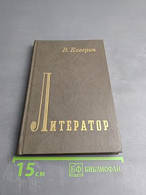 Литератор: Дневники и письма