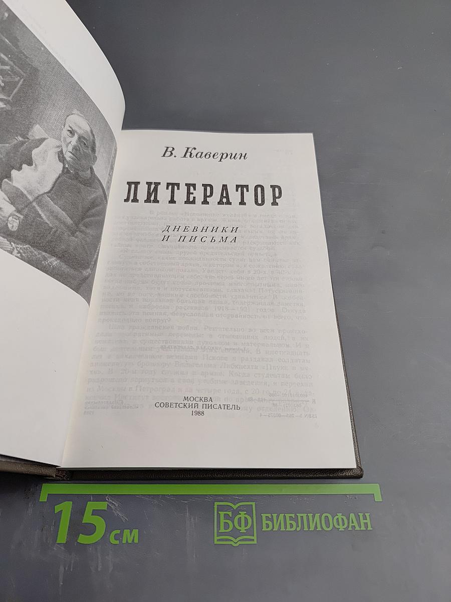 Литератор: Дневники и письма