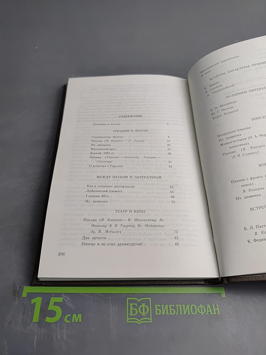 Литератор: Дневники и письма