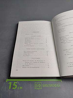 Литератор: Дневники и письма