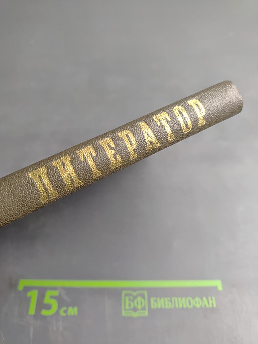 Литератор: Дневники и письма