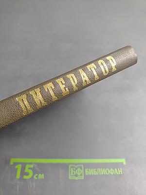 Литератор: Дневники и письма