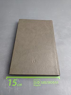 Литератор: Дневники и письма