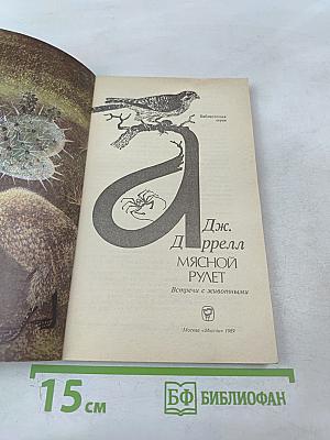 Мясной рулет